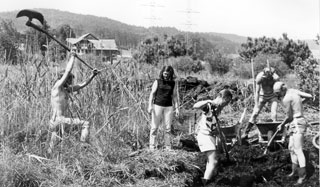 Biotop Russikon 1976