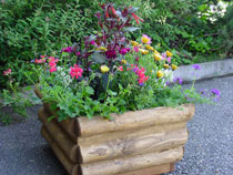 Blumenschmuck bei den Brunnen GVR für Kultur und Freizeit Russikon